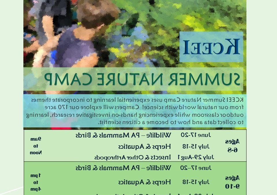 KCEEI Summer Nature Camps